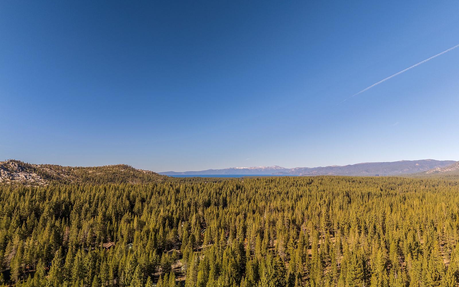 Lake Tahoe and the pine forest above South Lake Tahoe on a clear day