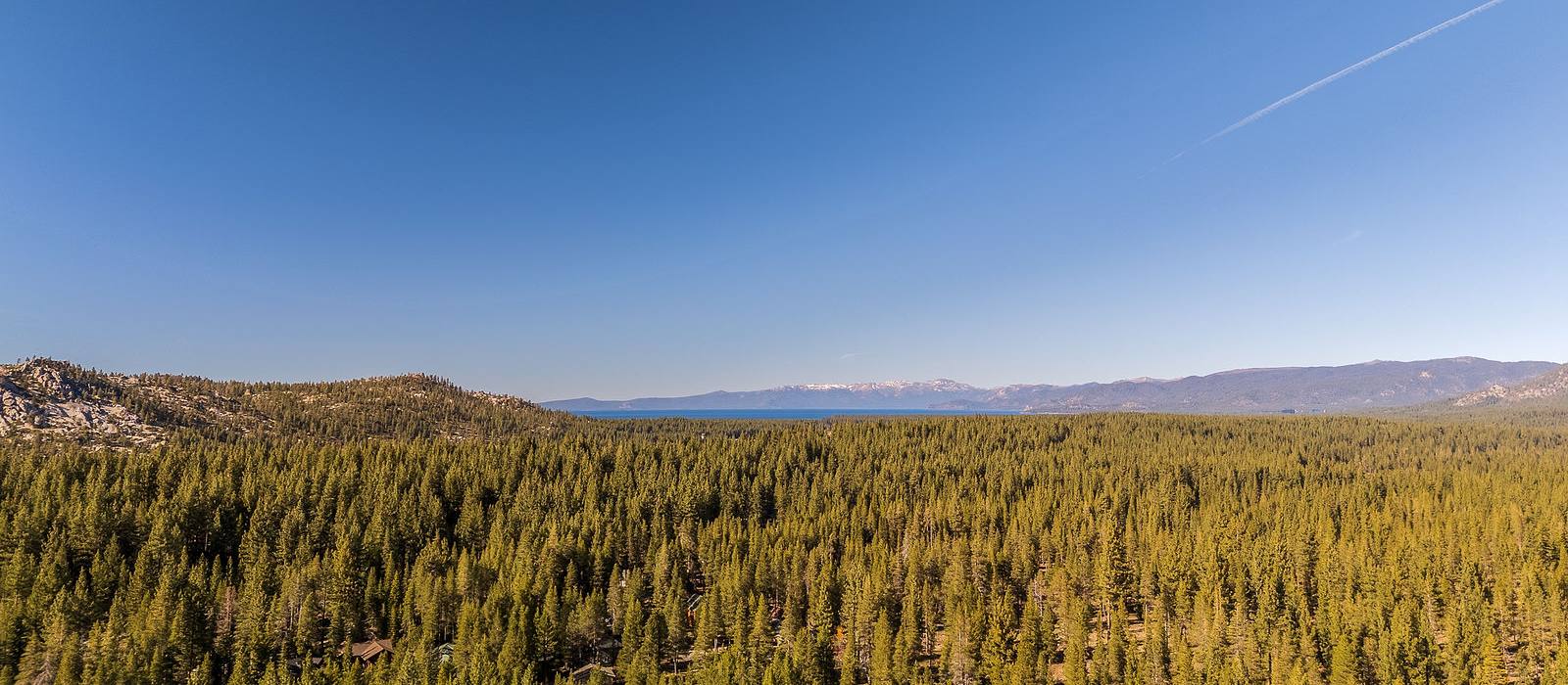 Lake Tahoe and the mountains beyond a forest of pines